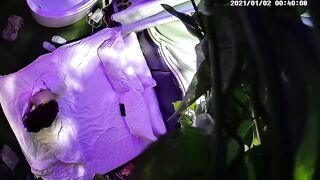 情趣酒店偷拍情侣开房