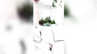 小草神的诱惑
